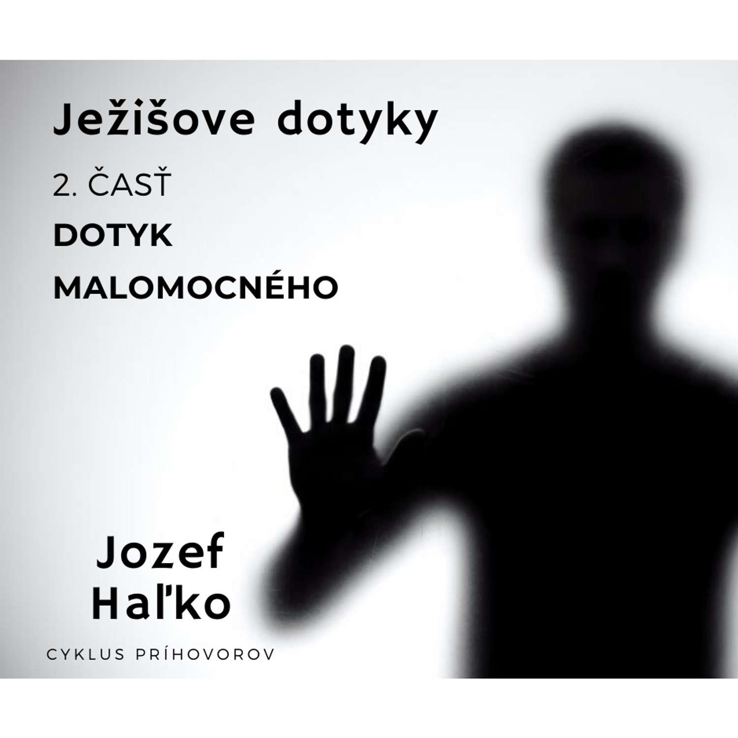 „JEŽIŠOVE DOTYKY“:     2. Dotyk malomocného