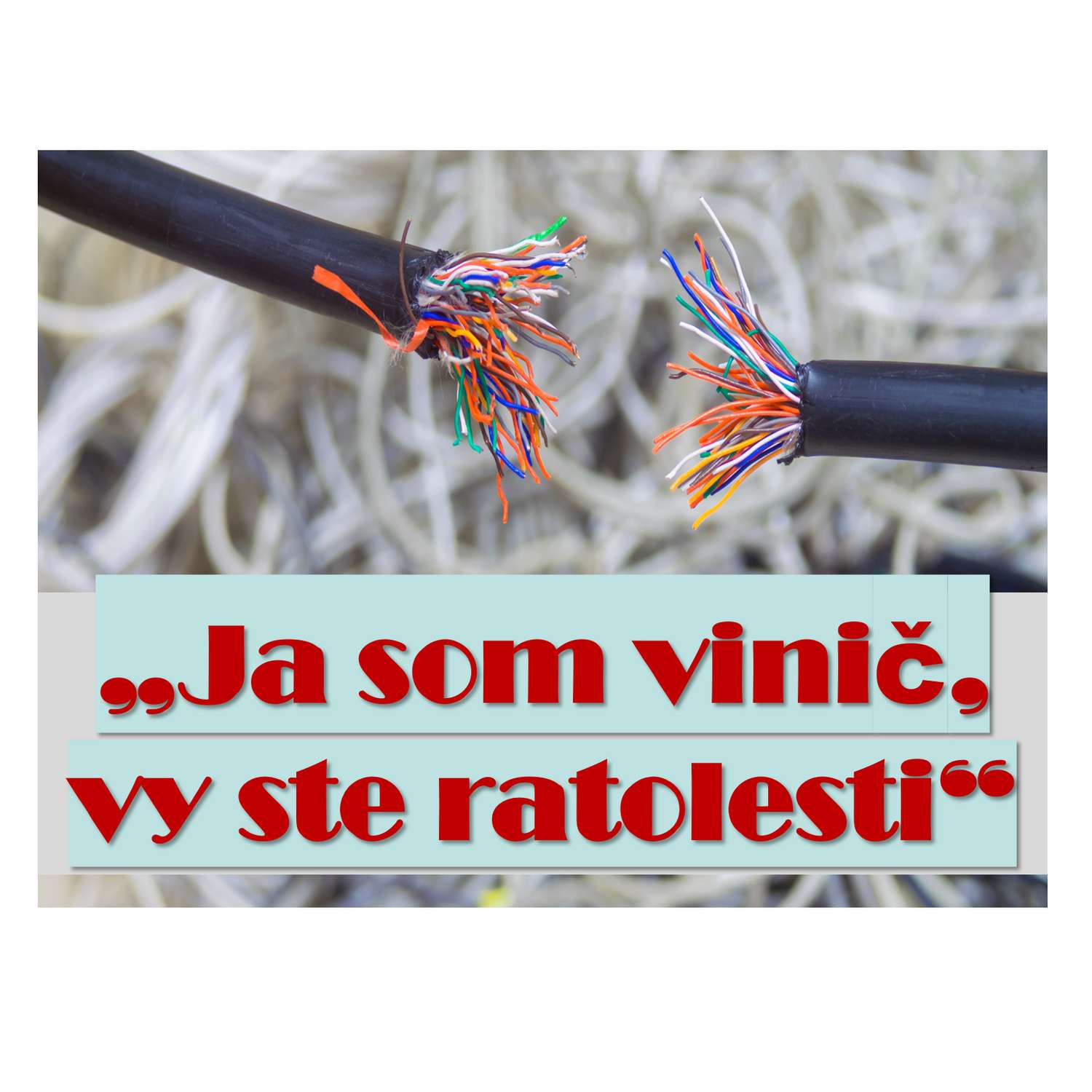 „Ja som vinič,  vy ste ratolesti“