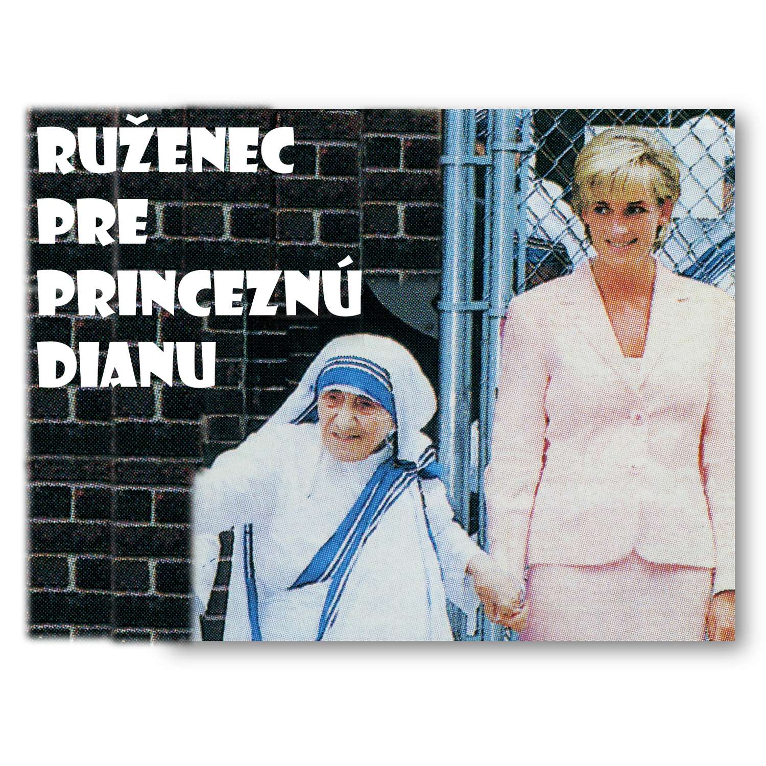 RUŽENEC PRE  PRINCEZNÚ DIANU