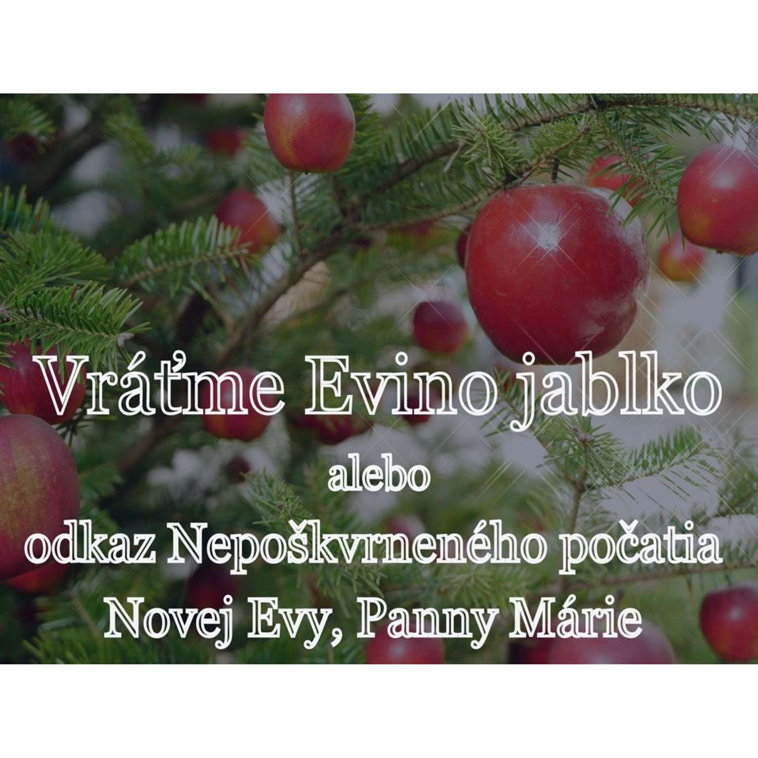 Biskup Jozef Haľko