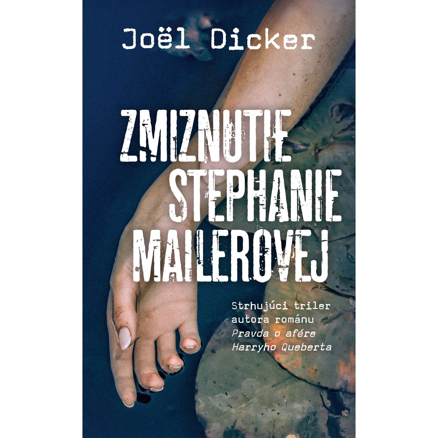 Zmiznutie Stephanie Mailerovej episode artwork