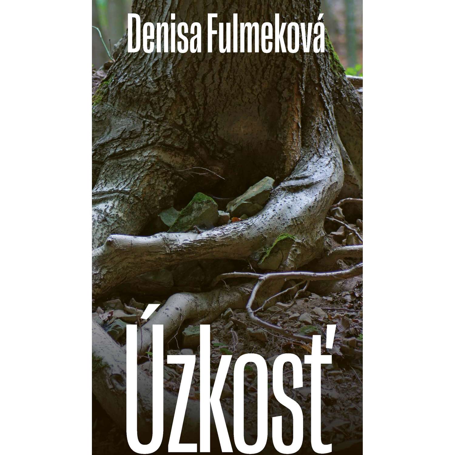 Úzkosť episode artwork