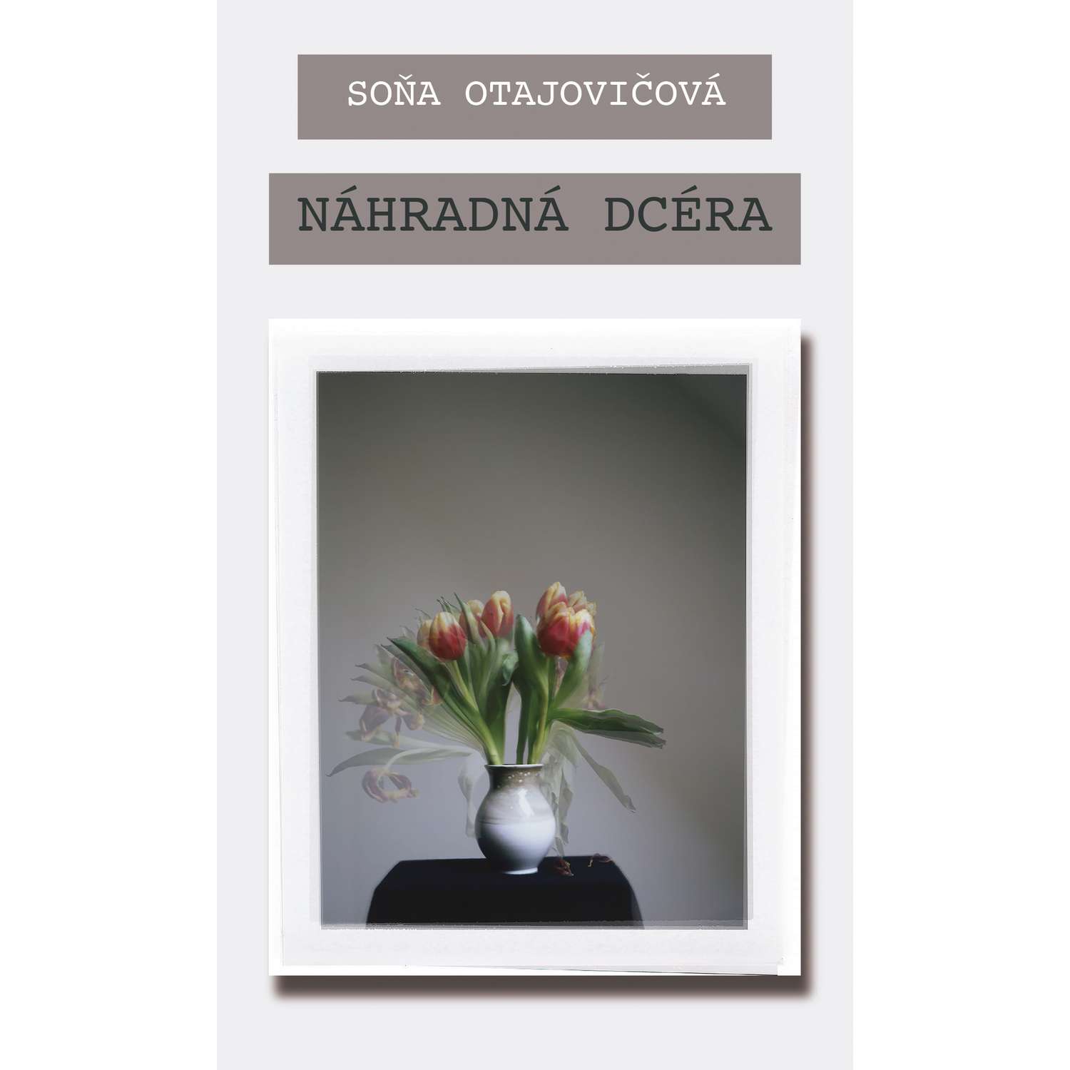 Náhradná dcéra episode artwork