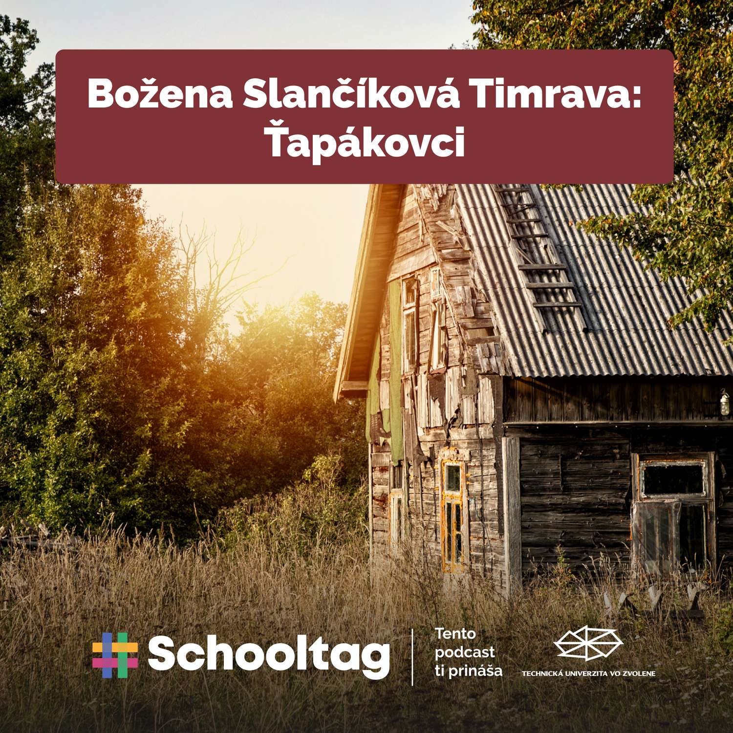 #Čitateľský denník: Božena Slančíková Timrava - Ťapákovci episode artwork