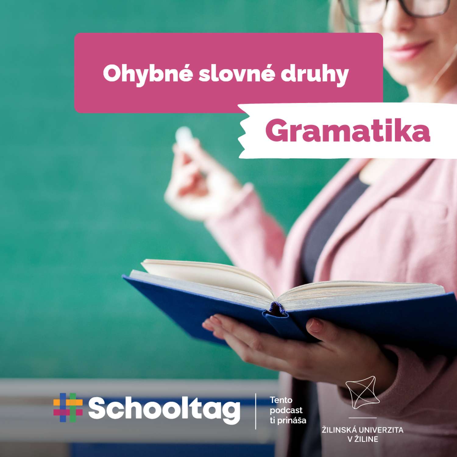 #Gramatika - Ohybné slovné druhy episode artwork