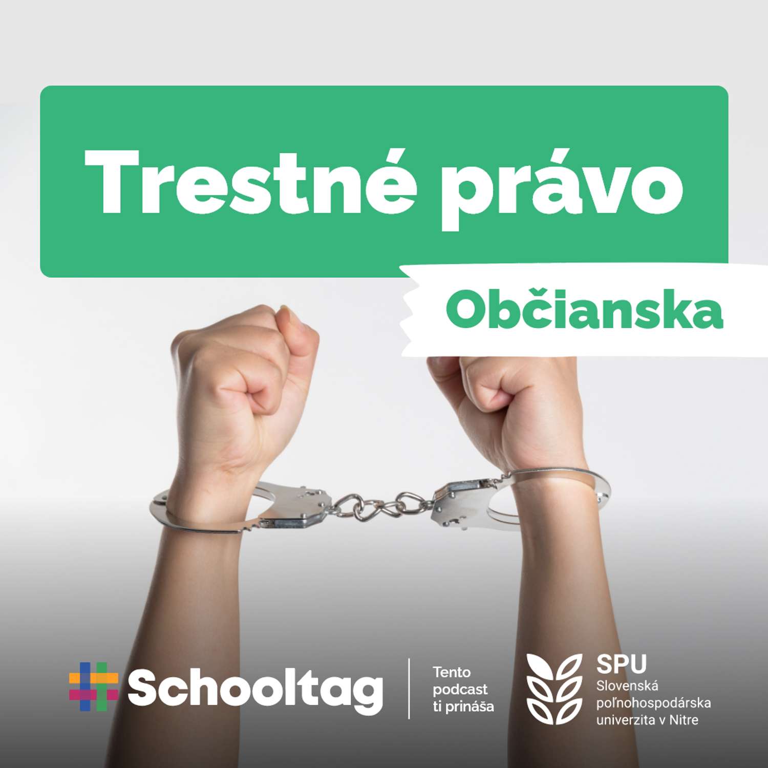#Občianska: Trestné právo | Právo episode artwork