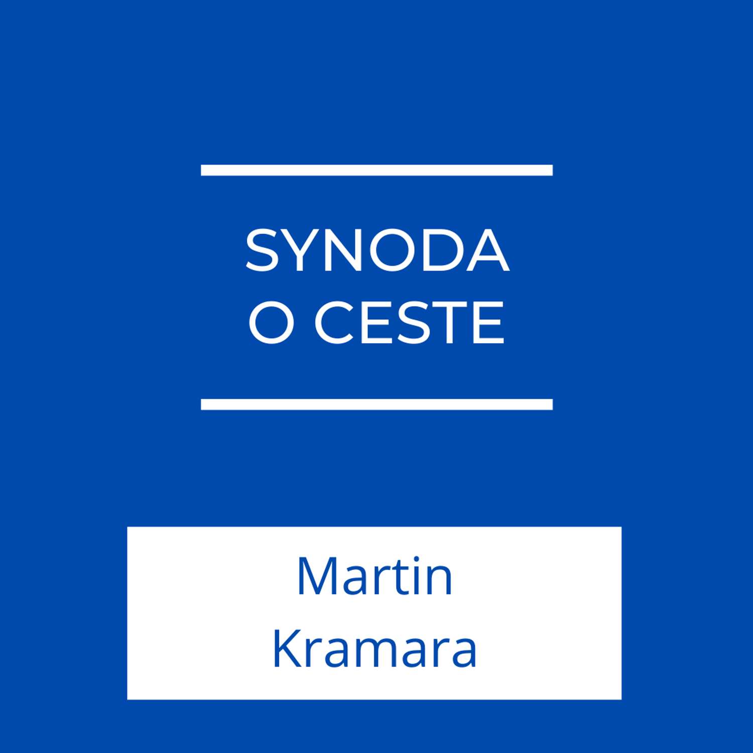 Synoda o ceste | Jeden na jedného