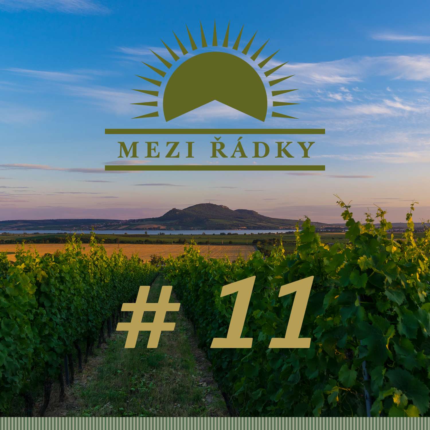 #11 O roce přátelství: těch, co začala karavanem, i těch od nového vína