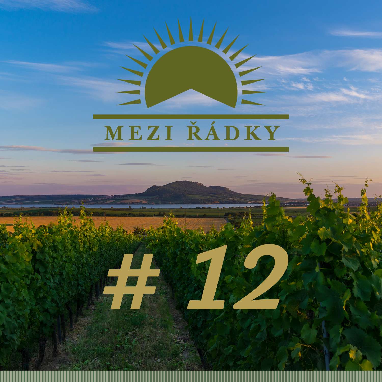 #12 Jak se staví… vinařství