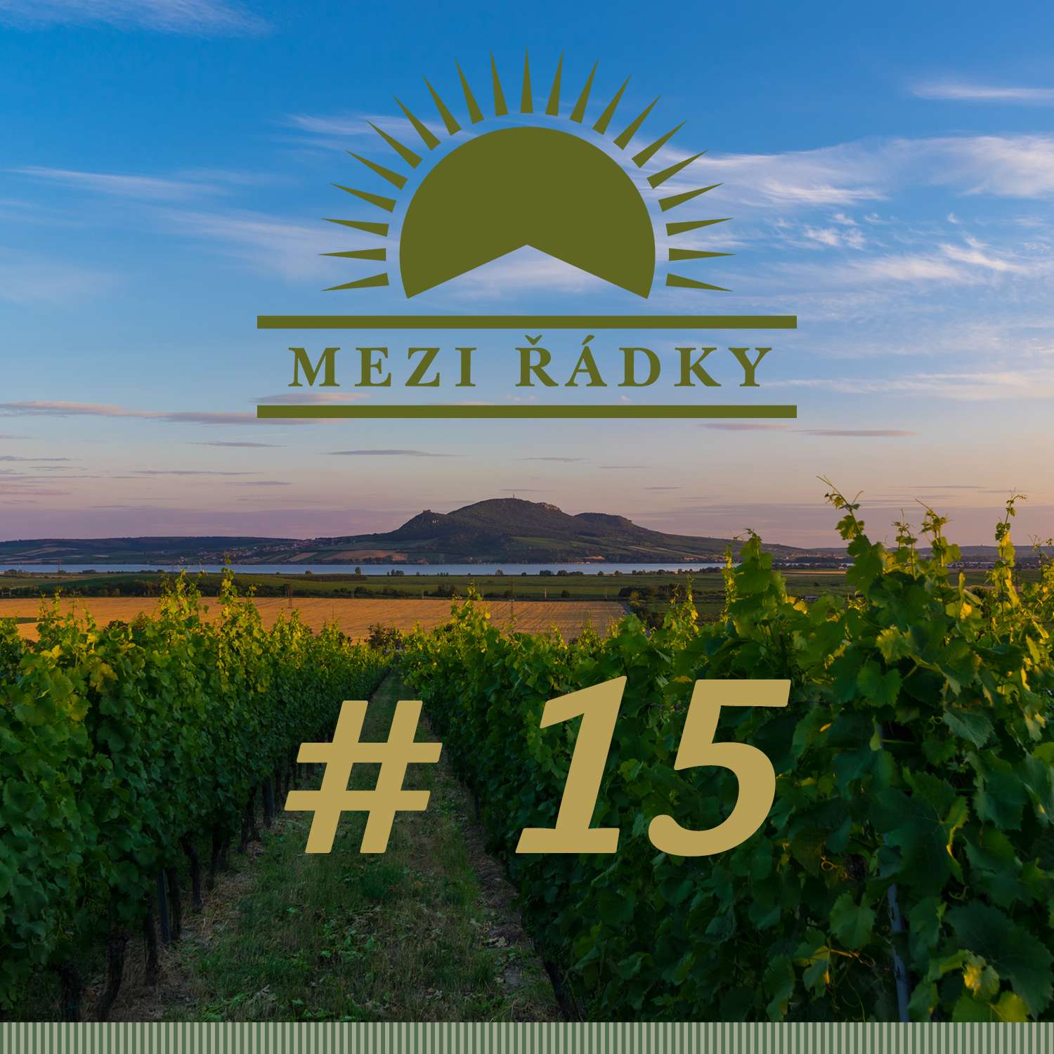 #15 O punku na michelinské úrovni