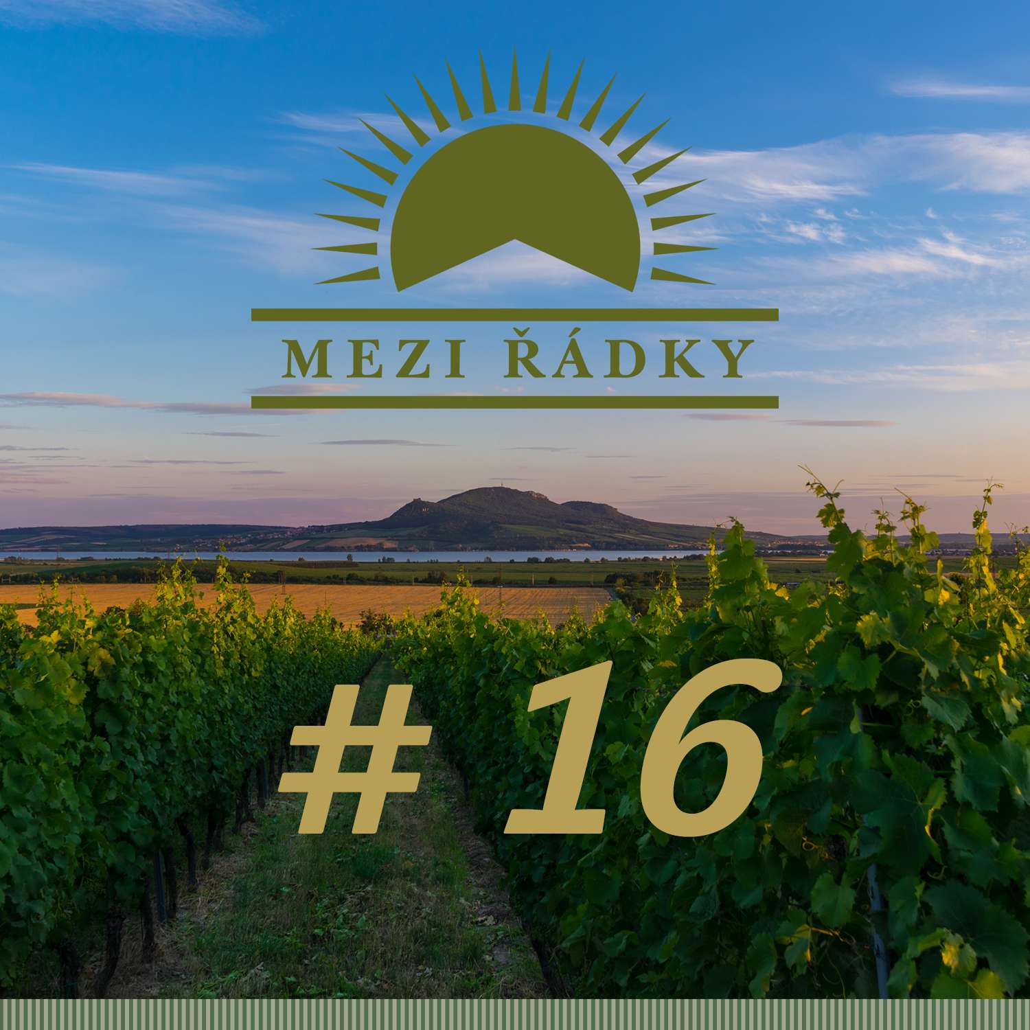 #16 O víně, jídle a cocktailech