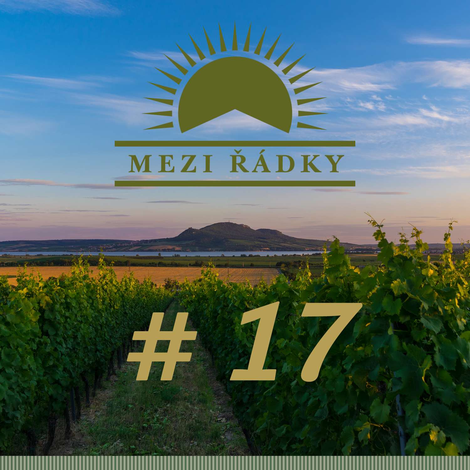 #17 O vinařském marketingu aneb Proč by vinaři měli jezdit na punkové festivaly