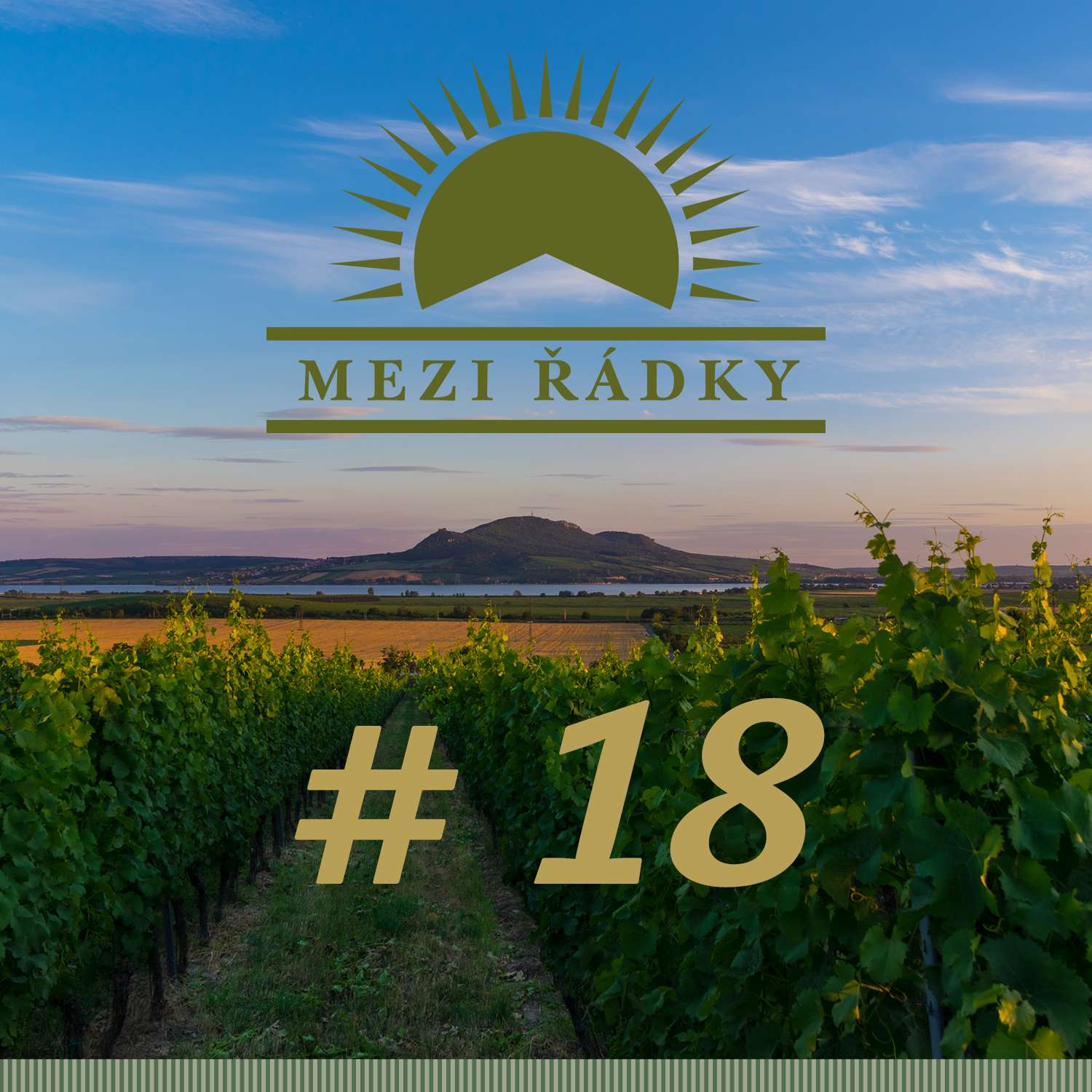 #18 O bodování vína na soutěžích aneb Kolikátý v pořadí se nalévá první vzorek?