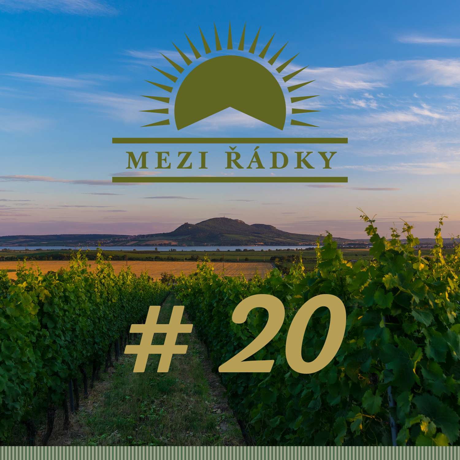 #20 O spolku VOC Hustopečsko, jeho členech i historii s Radkem Sedláčkem