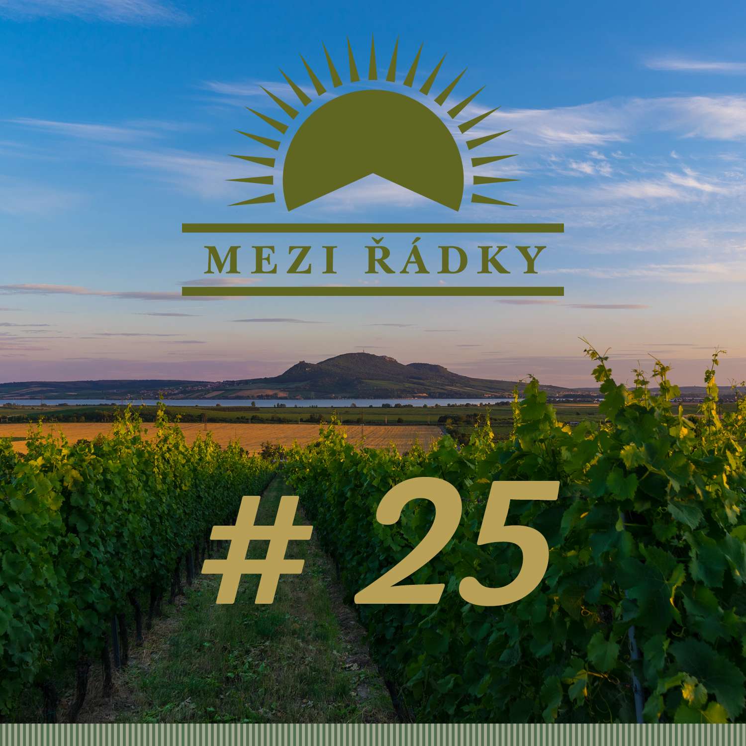 #25 O tom, jak se přední sommelieři ČR stali členy Sonberku