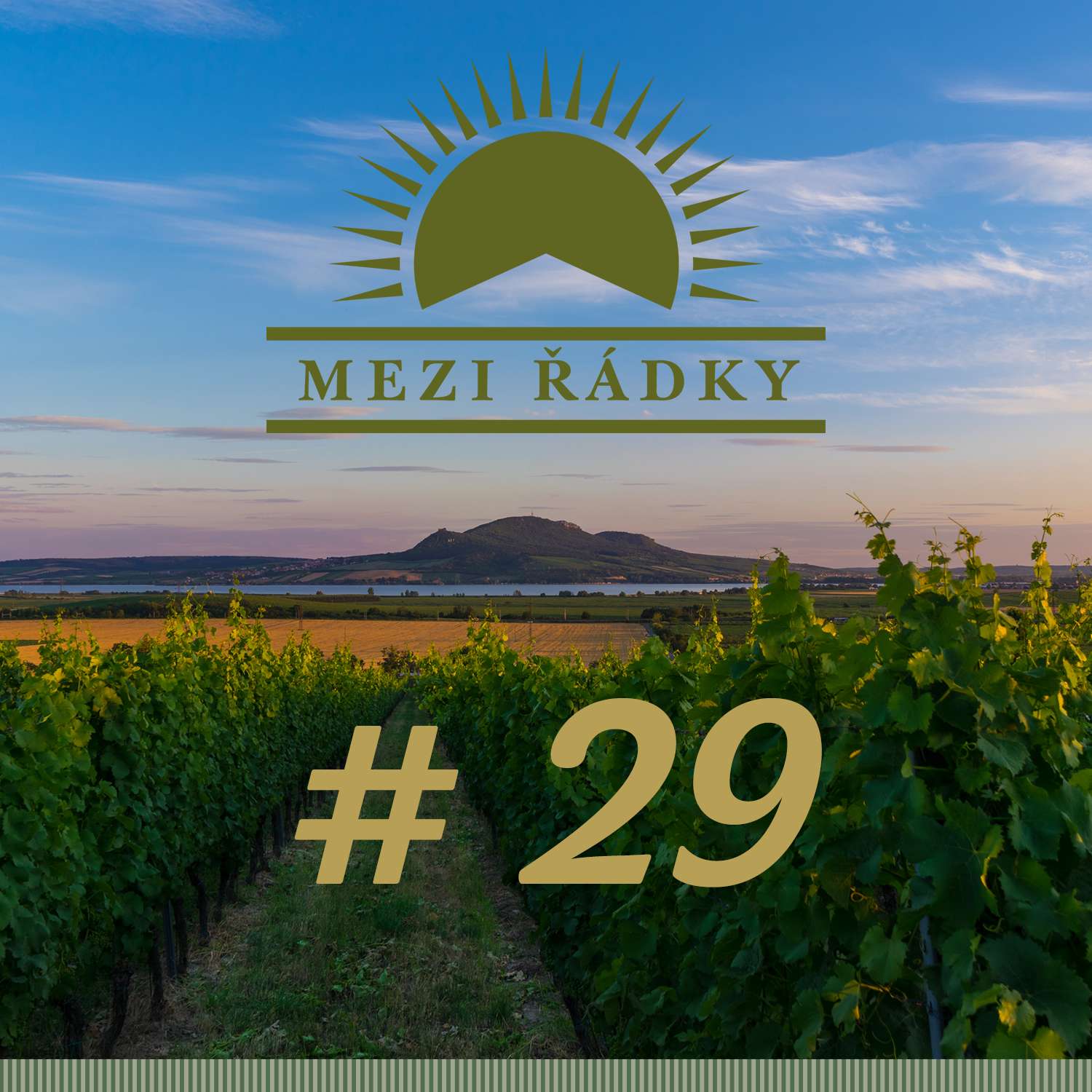 #29 O snoubení gastronomie a vína s Přemkem Forejtem