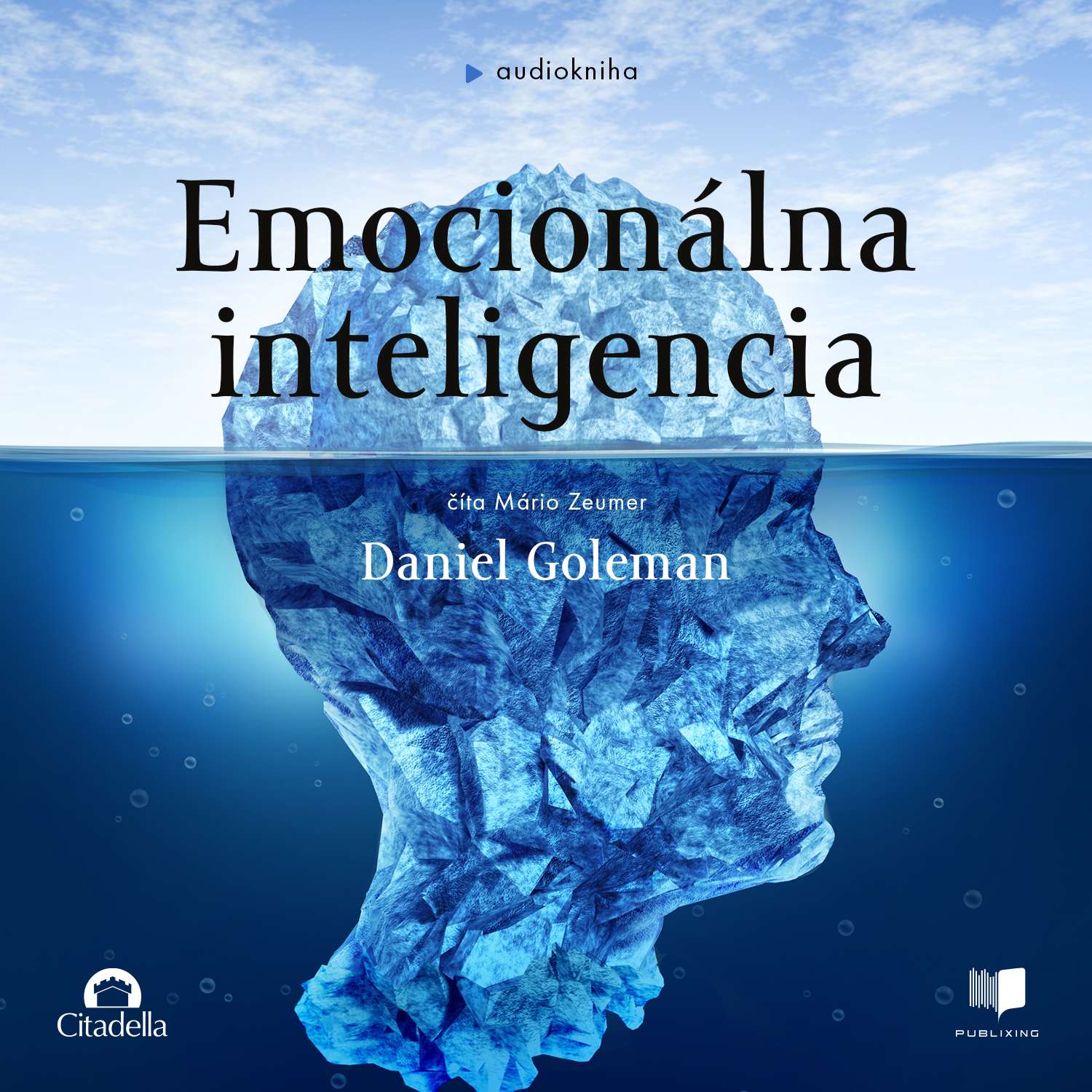 Emocionálna inteligencia