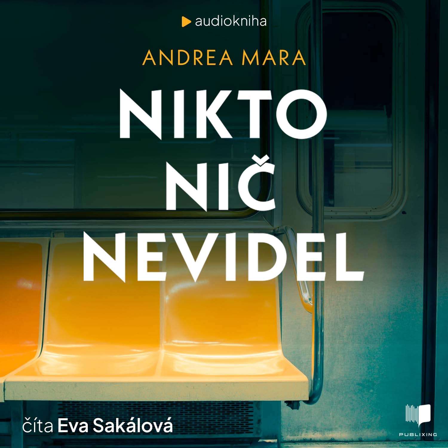 Nikto nič nevidel